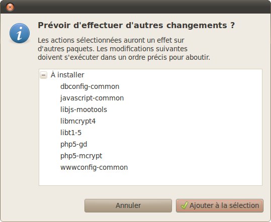 phpmyadmin phpmyadmin